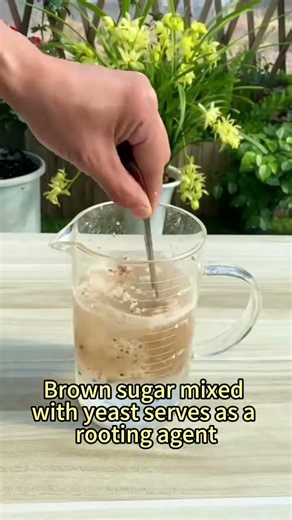One spoonful of brown sugar nourishes all flowers #plants #plantflowe
