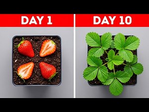 50 Gardening Tips That Make Growing Plants Easy 🌿✨