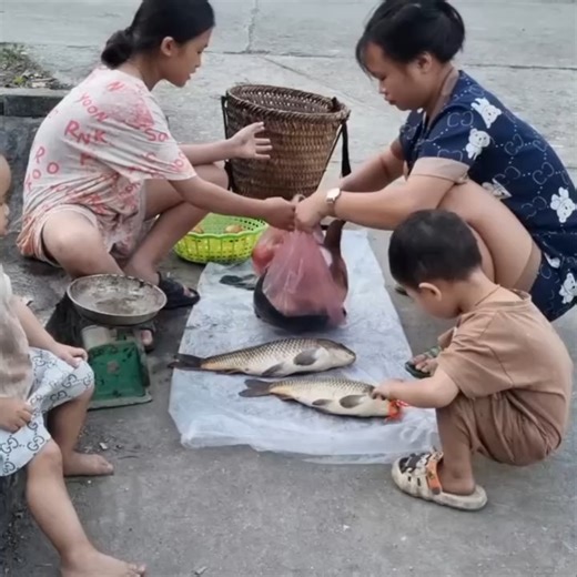 76K views · 1.1K reactions | Primitive fishing techniques, Stream fish traps, orphan girl traps fish for sale, fishing video | Single Mom Life | Facebook