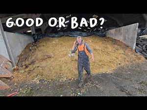 My first time opening a SILAGE PIT and sharing the analysis with you.