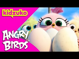 Lost Baby Hatchlings Find Their Way Home 🐣 💕 | Angry Birds | Compilation | @Kidzuko