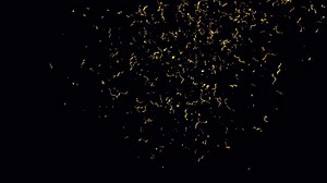 Gold Confetti Blast Explosions with Alpha channel