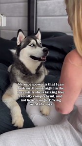 Truly a Gift: Life Through a Dog’s Eyes