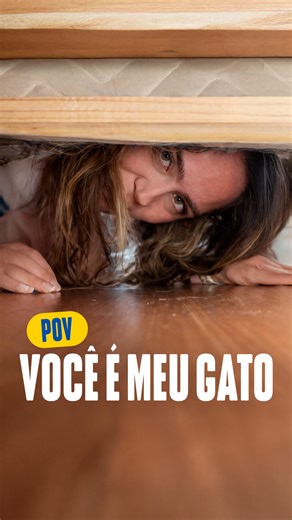pov: você é meu gato e, o dia inteiro, tudo o que vê sou eu dizendo o quanto você é fofo, tirando fotos e não te deixando em paz.📸🐱 #worldveterinaria #pet #gato