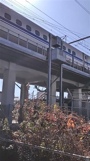 JR東海道新幹線N700系こだま号東京行き。