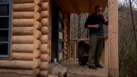 DIY forest hideaway that will blow your mind!