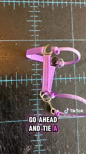 Crea un halter para tu Breyer: tutorial paso a paso