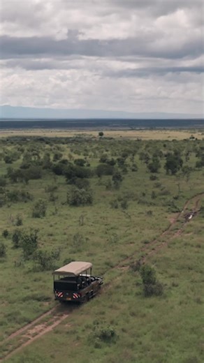 The décor in our interior tells the stories of our lives. Reflecting the memories we cherish, the pursuits we enjoy, our family history and all the things that interest or matter to us. With some pieces chosen for their tangible connection, others purely for their aesthetic appeal. At Authentic Models, we combine the two through elegantly handcrafted furniture, objects and ornaments which capture the essence of an era or interest via meaningful and surprising design. Our collections celebrate st