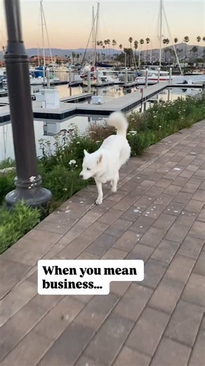 2.6K views · 17K reactions |  Send this to someone who gets it....