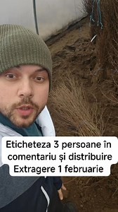 3.1K reactions · 556 shares | Concurs pentru tiktok și Facebook eticheteza 3 prieteni in comentariu și distribuie #concurs #kaki #rodiu #smochin | Plante ieftine | Facebook