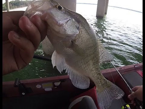 Joe pool lake summer time Crappie Fishing and BIG Mysterious fish!!