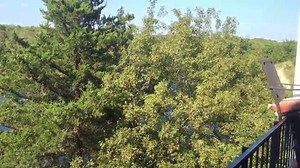 8.4K views · 24 reactions | Texoma Time Lake House. Check us out....