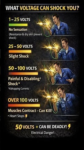 What Voltage Can Shock You? #shorts