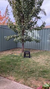 Here’s the original Australis Blooms Quilt that I promised I would share. This one is made with a natural linen background and a selection of prints in greens and aquas. The backing is an Amy Butler print and I designed and made this quilt way back in 2010. The pattern is available as a PDF from my online store, just follow the link in my bio. Or visit here - https://shop.emmajeanjansen.com.au/products/australis-blooms-quilt-pattern #emmajeanjansen #emmajeanjansenpattern #australisblooms #austra