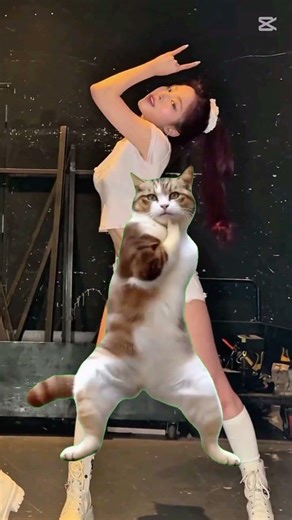 jajaja Michi Midzy😹#itzy