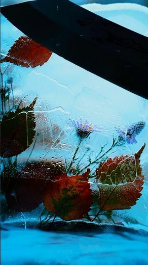 Frozen Flowers in Ice | Aesthetic Nature ASMR | Relaxing Visuals#shortsvideo