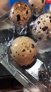 WATCH: Maggots crawling out of a quail's egg bought from an NTUC FairPrice outlet on Sunday (Feb 24) 🤢 http://str.sg/oaNS VIDEO: TAN JIAN HONG | The Straits Times