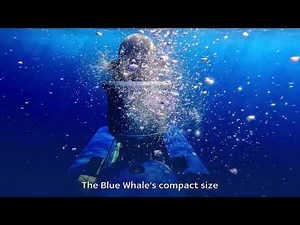 IAI-ELTA Systems Ltd. - BlueWhale System Autonomous Submarine System