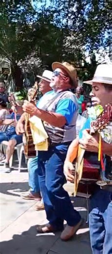 9.4K views · 305 reactions | Estrela do oriente | Folia de Reis | Facebook