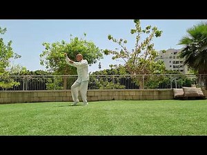 שינג אי, חמשת האלמנטים - אסף שמברג