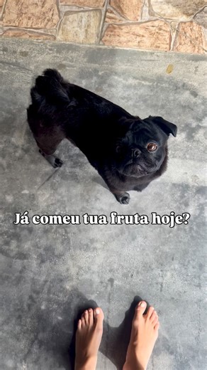 Caroline Bertin - Nutricionista CRN 12278 on Instagram: "Stiff segue mais a dieta que vocês 🍑 Já comeu tua fruta hoje?"