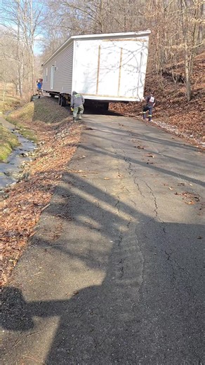 🦎Macola🦎 (@_macola)’s videos with original sound - 🦎Macola🦎