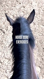 6.3K views · 994 reactions | Core exercises for horses are crucial...