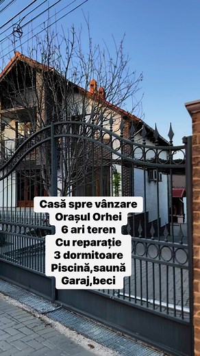 37360972703 | Ana Onici