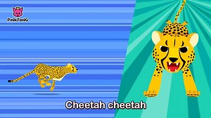 猎豹来啦！！英文儿歌- Cheetah - Animal Songs - Pinkfong Songs for Children