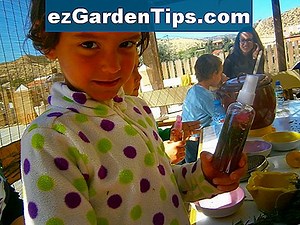 Cómo extraer aceites esenciales de las plantas 🌱 Tips Jardineros - Es.ezGardenTips.com