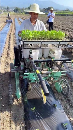 Automatic Vegetable Seedling Transplanter: Efficient Farming Technology in Action