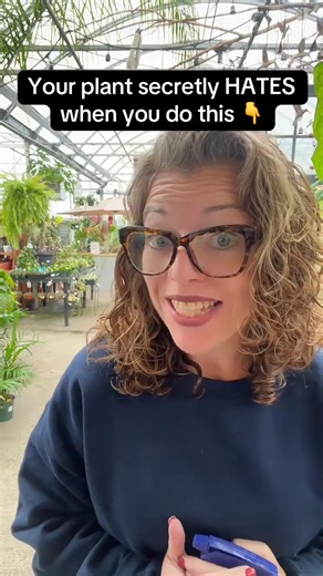 You don’t need to mist your houseplants every day — it’s one of the biggest myths in plant care. Misting doesn’t fix low humidity, and it can actually cause leaf fungus and brown spots. Group plants or use a humidifier i~ | Lifewithashleyanita