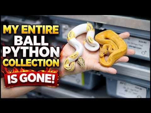 This Was NOT Easy… We Sold Everything 😳