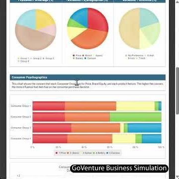 How to Improve Decisions for Next Period | GoVenture CEO Simulation 12