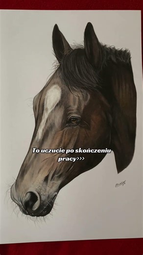 Najlepsze uczucie 🤍 #dlaciebie #horse #rysowanie #explore #art #artist #sketch #rysunek #equestrian