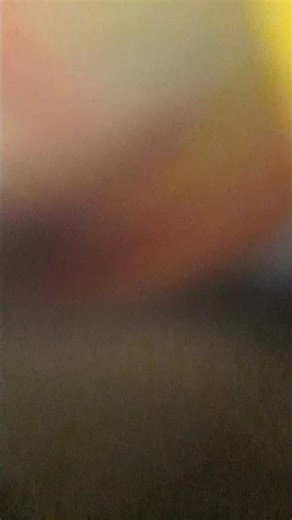 pikachu evolved into Raichu