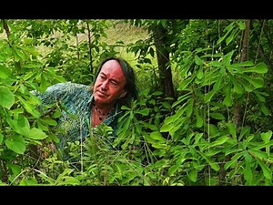 FIELD TRIP WITH PATRICK BLANC IN TANZANIA - LAKE TANGANYIKA, RUKWA & KATAVI