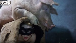 Artofzoo - Yasmin - Boar J'adore.mp4