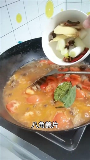 Deliciously Tender Beef Brisket Stew with Potatoes & Tomatoes