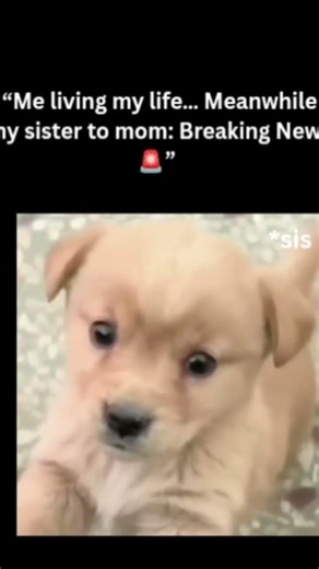 mei intlo anthena frnds comment cheyandi 👇