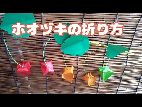 おりがみ ホオズキの折り方 ～ORIGAMI HOZUKI(physalis)