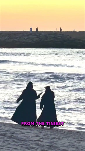 10 Mind-Blowing Facts About Tiny Ecosystems | Nature Secrets