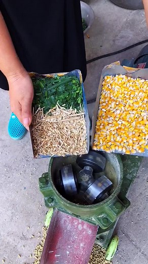 1made in China12 on TikTok