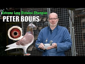 SPRINT to Overnight long distance - 1st General Champion 2021 - PETER BOURS