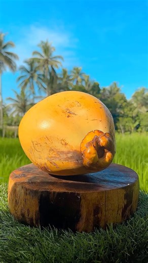 You Must Try This Coconut!