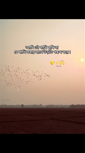 Okh🙌 . . . #capton #trending