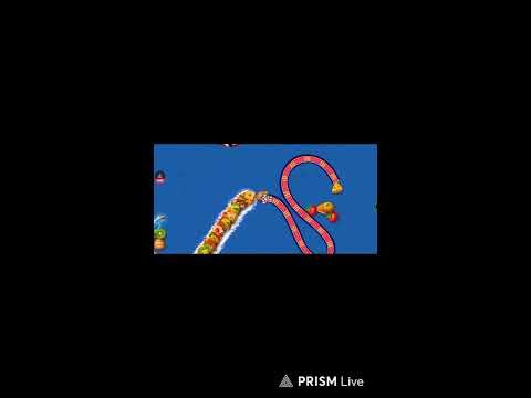 WormZone.io | SLITHER SNAKE GAMEPLAY TOP 1