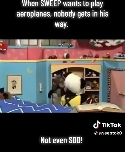 Sweep's Aeroplane Adventure: No One Can Stop Him!