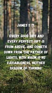 Count your blessings one by one #jesus #quotes #blessings #bibleverse #blessings #worshipmusic #gift