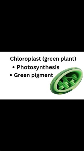 Cell one shot part-3#TheFundamentalUnitOfLife#Class9Biology##NCERTBiology#CBSEBiology#BoardExam2026